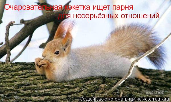 Котоматрица: Очаровательная кокетка ищет парня  для несерьёзных отношений
