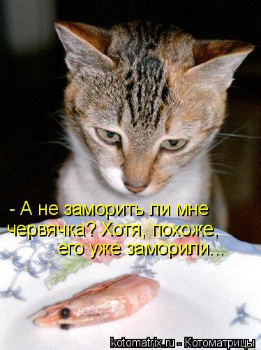 - А не заморить ли мне червячка? Хотя, похоже, его уже заморили...... Котоматрица: - А не заморить ли мне червячка? Хотя, похоже, его уже заморили...