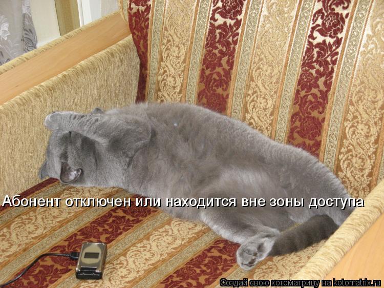 Абонент отключен или находится вне зоны доступа... Котоматрица: Абонент отключен или находится вне зоны доступа