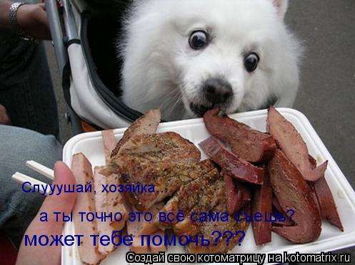 Слууушай, хозяйка... может тебе помочь??? а ты точно это всё сама съешь?... Котоматрица: Слууушай, хозяйка... может тебе помочь??? а ты точно это всё сама съешь?