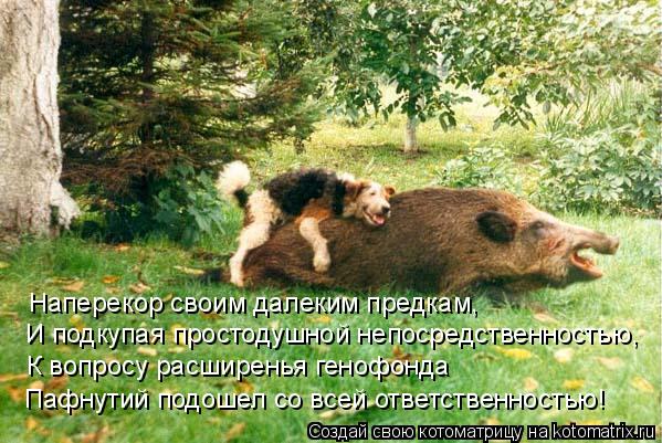 Наперекор своим далеким предкам, И подкупая простодушной непосредственностью, К вопросу расширенья ге... Котоматрица: Наперекор своим далеким предкам, И подкупая простодушной непосредственностью, К вопросу расширенья генофонда Пафнутий подошел со всей от
