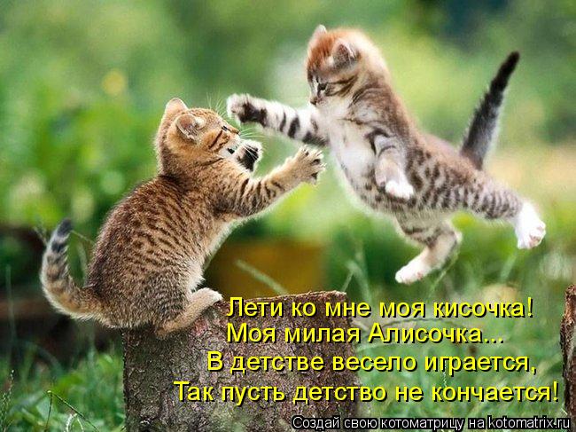 Лети ко мне моя кисочка! Моя милая Алисочка... В детстве весело играется, Так пусть детство не кончае... Котоматрица: Лети ко мне моя кисочка! Моя милая Алисочка... В детстве весело играется, Так пусть детство не кончается!