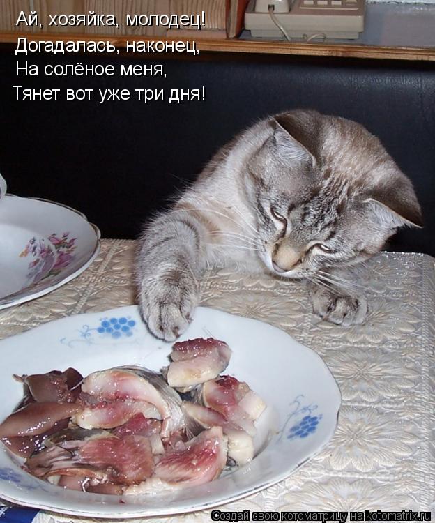 Ай, хозяйка, молодец! Догадалась, наконец, На солёное меня, Тянет вот уже три дня!... Котоматрица: Ай, хозяйка, молодец! Догадалась, наконец, На солёное меня, Тянет вот уже три дня!