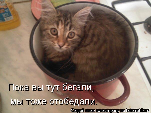 Котоматрица: Пока вы тут бегали, мы тоже отобедали.