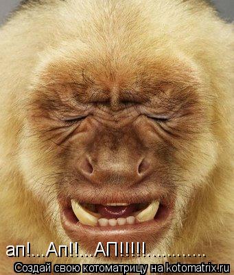 ап!...Ап!!...АП!!!!!............... Котоматрица: ап!...Ап!!...АП!!!!!............