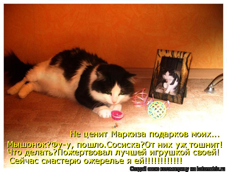 Мышонок?Фу-у, пошло.Сосиска?От них уж тошнит! Не ценит Маркиза подарков моих... Что делать?Пожертвова... Котоматрица: Мышонок?Фу-у, пошло.Сосиска?От них уж тошнит! Не ценит Маркиза подарков моих... Что делать?Пожертвовал лучшей игрушкой своей! Сейчас смастерю