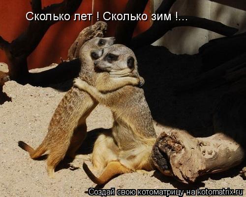 Сколько лет ! Сколько зим !...... Котоматрица: Сколько лет ! Сколько зим !...