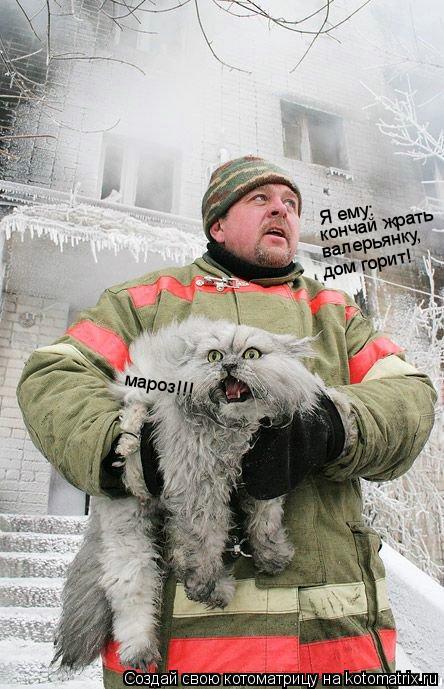 Я ему: кончай жрать валерьянку, дом горит! мароз!!!... Котоматрица: Я ему: кончай жрать валерьянку, дом горит! мароз!!!