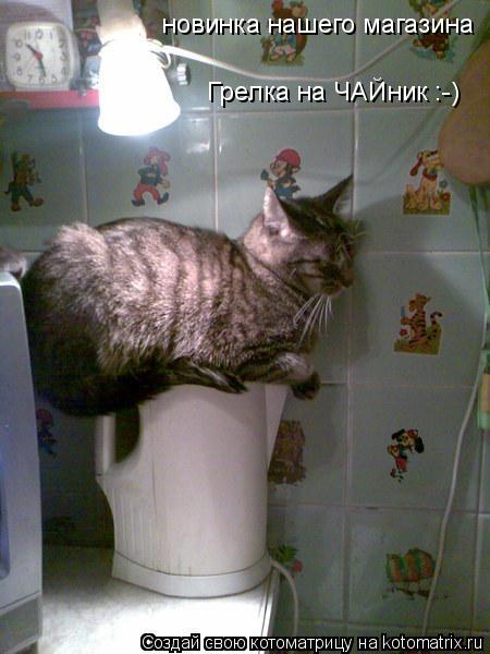Котоматрица: новинка нашего магазина Грелка на ЧАЙник :-)