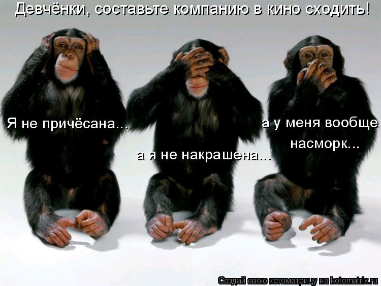 Девчёнки, составьте компанию в кино сходить! Я не причёсана... а я не накрашена... а у меня вообще н... Котоматрица: Девчёнки, составьте компанию в кино сходить! Я не причёсана... а я не накрашена... а у меня вообще насморк...