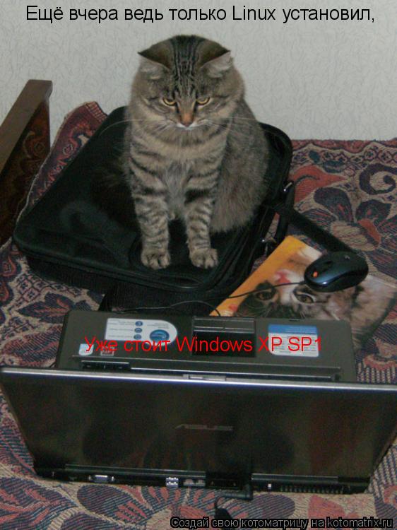 Котоматрица: Ещё вчера ведь только Linux установил, Уже стоит Windows XP SP1
