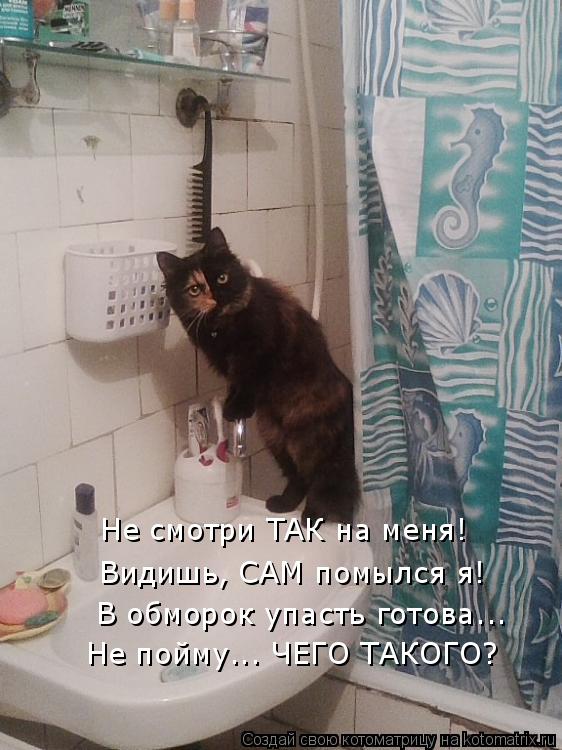 Не смотри ТАК на меня! Видишь, САМ помылся я! В обморок упасть готова... Не пойму... ЧЕГО ТАКОГО?... Котоматрица: Не смотри ТАК на меня! Видишь, САМ помылся я! В обморок упасть готова... Не пойму... ЧЕГО ТАКОГО?