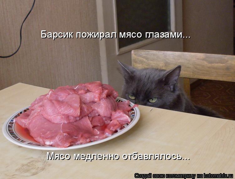 Барсик пожирал мясо глазами... Мясо медленно отбавлялось...... Котоматрица: Барсик пожирал мясо глазами... Мясо медленно отбавлялось...