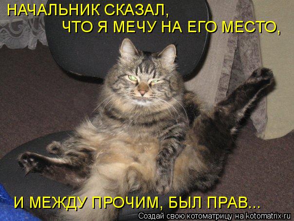 Котоматрица: НАЧАЛЬНИК СКАЗАЛ,  ЧТО Я МЕЧУ НА ЕГО МЕСТО, И МЕЖДУ ПРОЧИМ, БЫЛ ПРАВ...