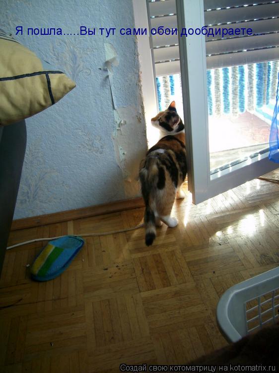 Котоматрица: Я пошла.....Вы тут сами обои дообдираете....
