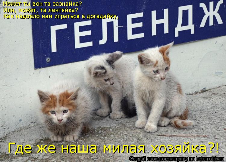 Котоматрица: Может ты вон та зазнайка? Или, может, та лентяйка? Как надоело нам играться в догадайку, Где же наша милая хозяйка?!