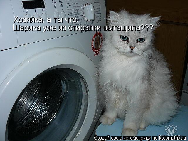 Котоматрица: Хозяйка, а ты что, Шарика уже из стиралки вытащила???
