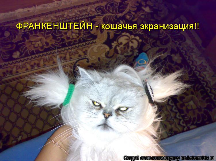 ФРАНКЕНШТЕЙН - кошачья экранизация!!... Котоматрица: ФРАНКЕНШТЕЙН - кошачья экранизация!!
