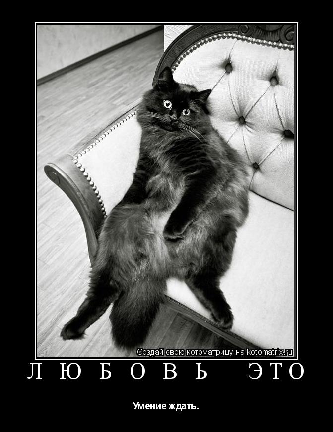 Л Ю Б О В Ь ЭТО Умение ждать.... Котоматрица: Л Ю Б О В Ь ЭТО Умение ждать.