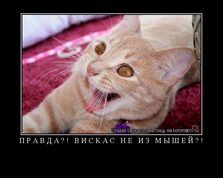 Котоматрица: ПРАВДА?! ВИСКАС НЕ ИЗ МЫШЕЙ?! 