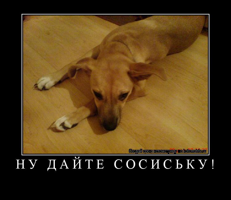 Ну дайте сосиську! ... Котоматрица: Ну дайте сосиську!