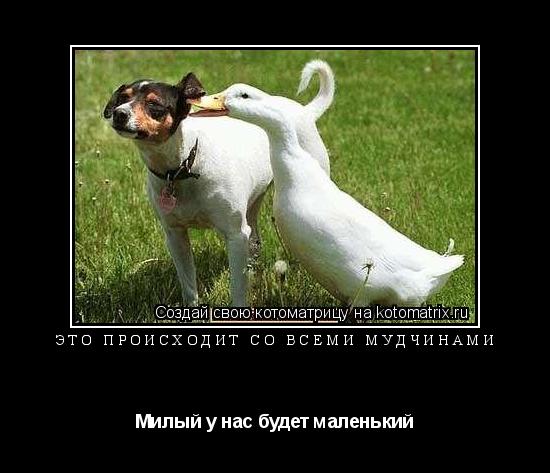 это происходит со всеми мудчинами Милый у нас будет маленький... Котоматрица: это происходит со всеми мудчинами Милый у нас будет маленький