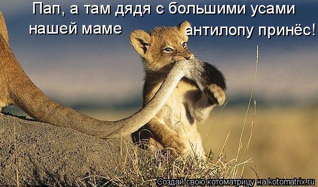 Пап, а там дядя с большими усами нашей маме антилопу принёс!... Котоматрица: Пап, а там дядя с большими усами нашей маме антилопу принёс!