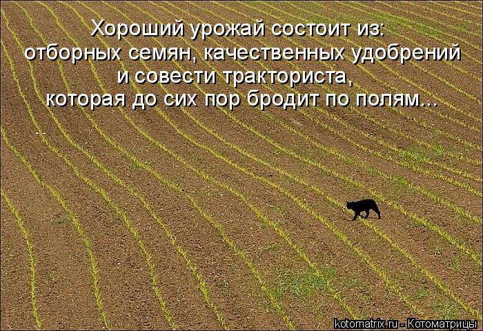 Хороший урожай состоит из: отборных семян, качественных удобрений которая до сих пор бродит по полям.... Котоматрица: Хороший урожай состоит из: отборных семян, качественных удобрений которая до сих пор бродит по полям... и совести тракториста,
