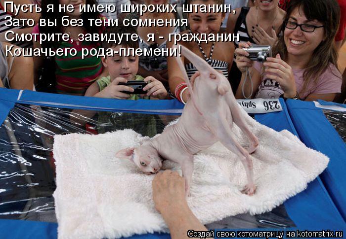Пусть я не имею широких штанин, Зато вы без тени сомнения Смотрите, завидуте, я - гражданин Кошачьего... Котоматрица: Пусть я не имею широких штанин, Зато вы без тени сомнения Смотрите, завидуте, я - гражданин Кошачьего рода-племени!