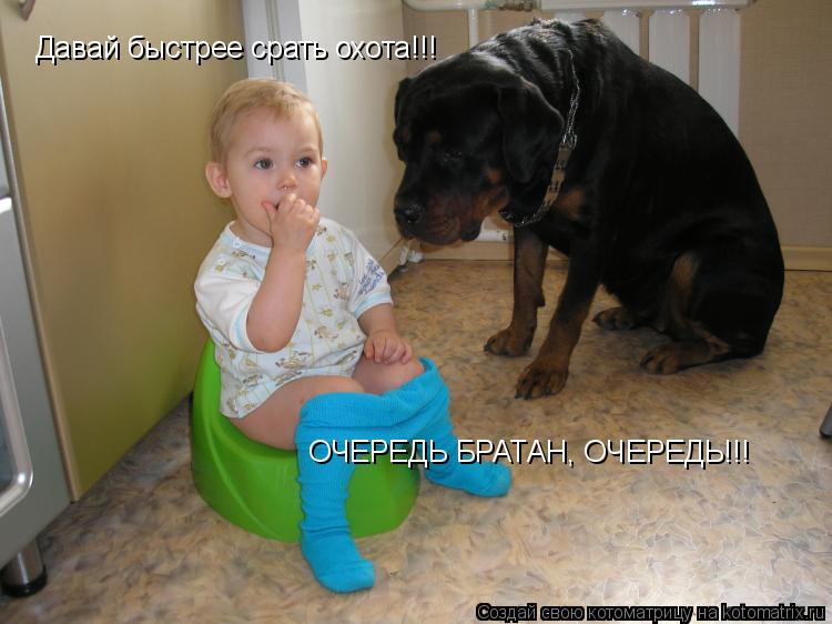 Давай быстрее срать охота!!! ОЧЕРЕДЬ БРАТАН, ОЧЕРЕДЬ!!!... Котоматрица: Давай быстрее срать охота!!! ОЧЕРЕДЬ БРАТАН, ОЧЕРЕДЬ!!!