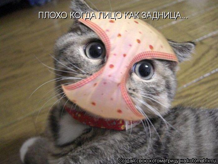 Котоматрица: ПЛОХО КОГДА ЛИЦО КАК ЗАДНИЦА...