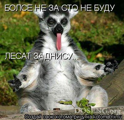 Котоматрица: БОЛСЕ НЕ ЗА СТО НЕ БУДУ  ЛЕСАТ ЗАДНИСУ...