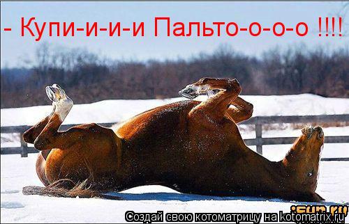 - Купи-и-и-и Пальто-о-о-о !!!!... Котоматрица: - Купи-и-и-и Пальто-о-о-о !!!!
