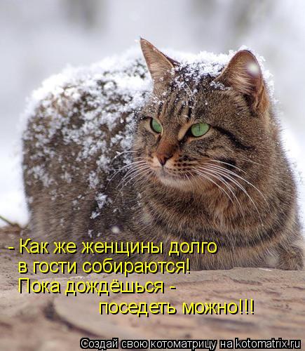 Котоматрица: - Как же женщины долго в гости собираются! Пока дождёшься - поседеть можно!!!