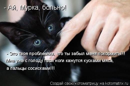 Котоматрица: - Ай, Мурка, больно! - Это твоя проблемма, что ты забыл меня покормить!!! Мне уже с голоду твои ноги кажутся кусками мяса, а пальцы сосисками!!!