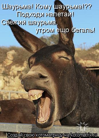 Котоматрица: Шаурьма! Кому шаурьма!?? Подходи налетай! Свежий шаурьма, утром ещо бегаль!