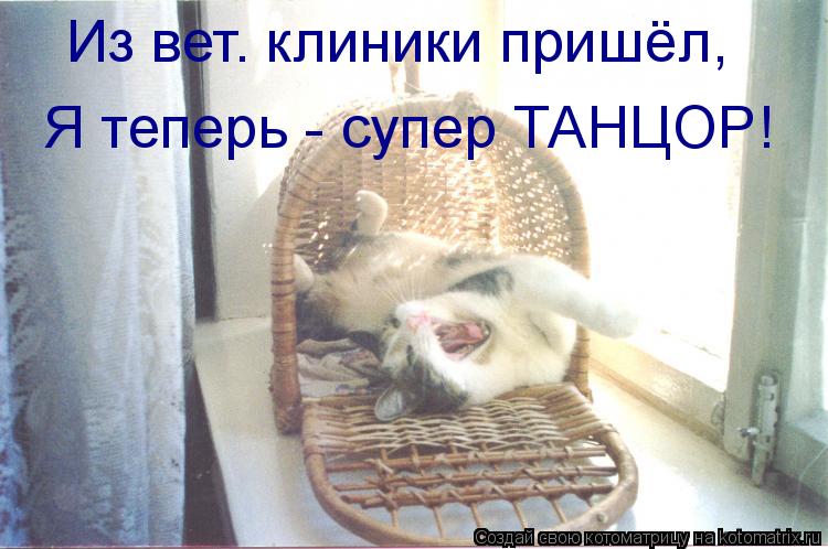 Из вет. клиники пришёл, Я теперь - супер ТАНЦОР!... Котоматрица: Из вет. клиники пришёл, Я теперь - супер ТАНЦОР!