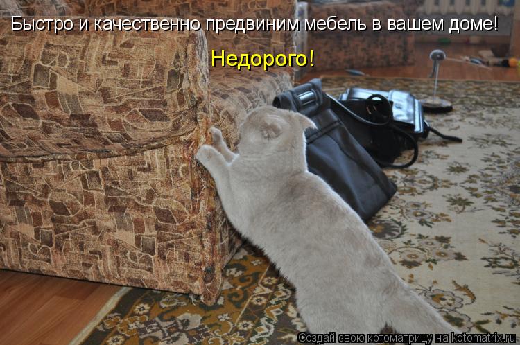 Котоматрица: Быстро и качественно предвиним мебель в вашем доме!  Недорого!