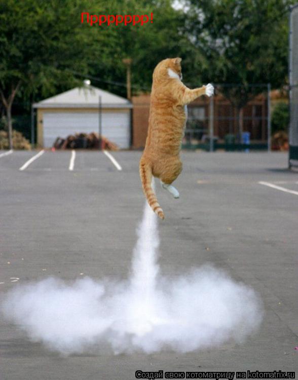 Котоматрица: Пррррррр!