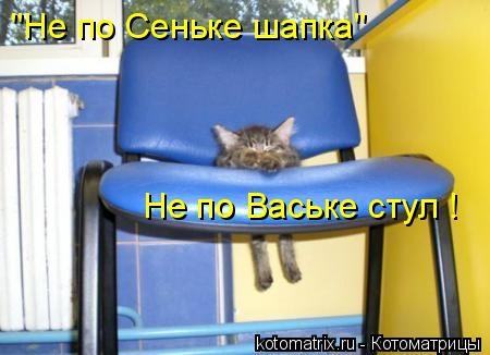 Котоматрица: "Не по Сеньке шапка" Не по Ваське стул !
