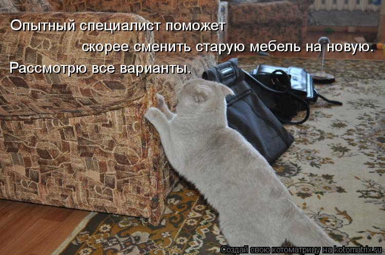 Котоматрица: Опытный специалист поможет  скорее сменить старую мебель на новую. Рассмотрю все варианты.
