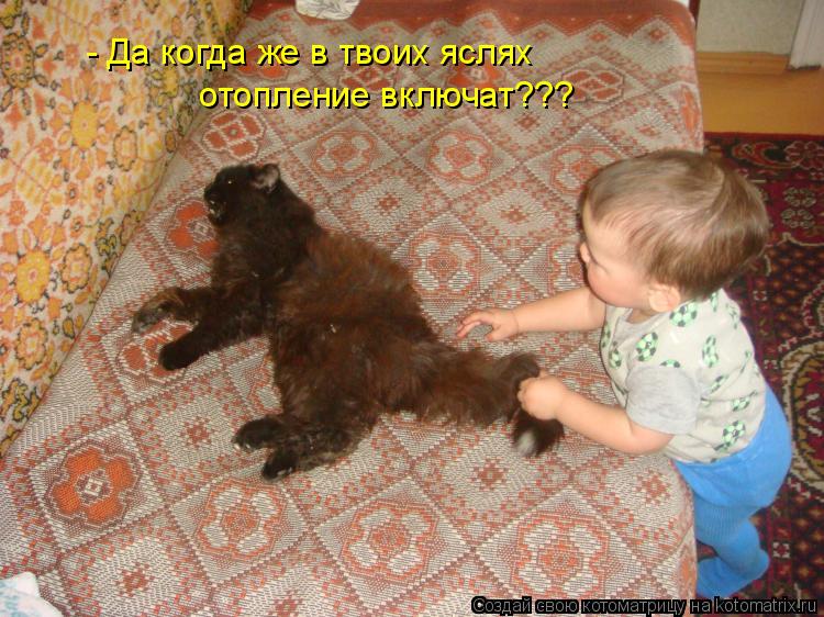 - Да когда же в твоих яслях отопление включат???... Котоматрица: - Да когда же в твоих яслях отопление включат???