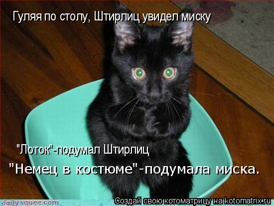 Котоматрица: Гуляя по столу, Штирлиц увидел миску "Лоток"-подумал Штирлиц "Немец в костюме"-подумала миска.