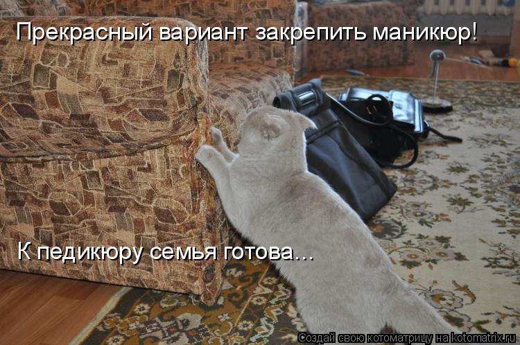 Котоматрица: Прекрасный вариант закрепить маникюр! К педикюру семья готова...
