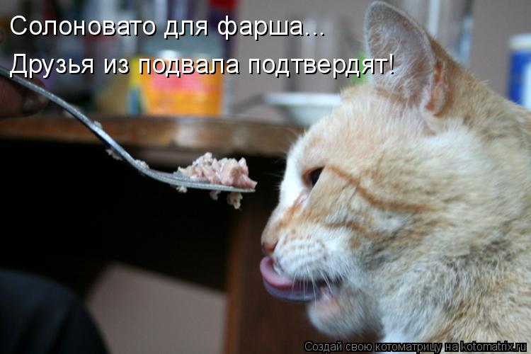 Котоматрица: Солоновато для фарша... Друзья из подвала подтвердят!