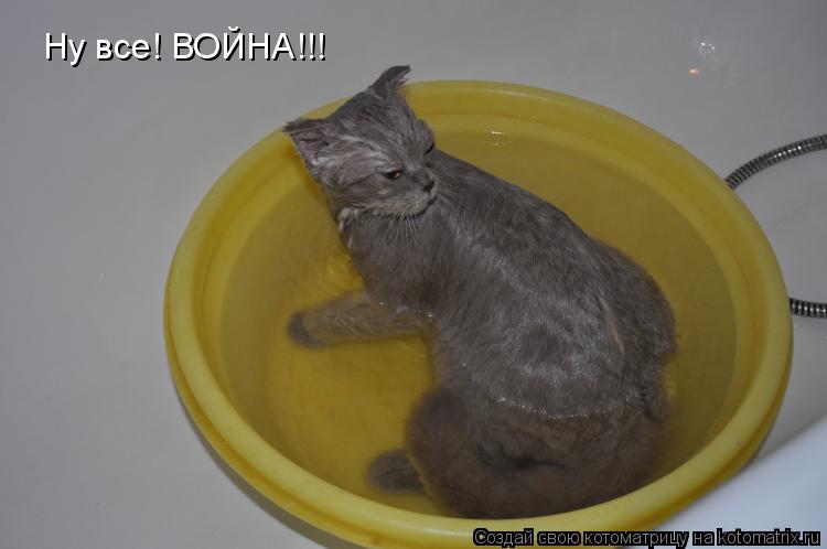 Котоматрица: Ну все! ВОЙНА!!!