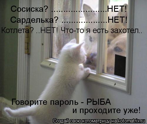 Котоматрица: Сосиска? .......................НЕТ! Сарделька? ...................НЕТ! Котлета? ..НЕТ! Что-то я есть захотел.. Говорите пароль - РЫБА  и проходите уж