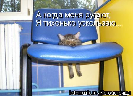 А когда меня ругают, Я тихонько ускользаю...... Котоматрица: А когда меня ругают, Я тихонько ускользаю...