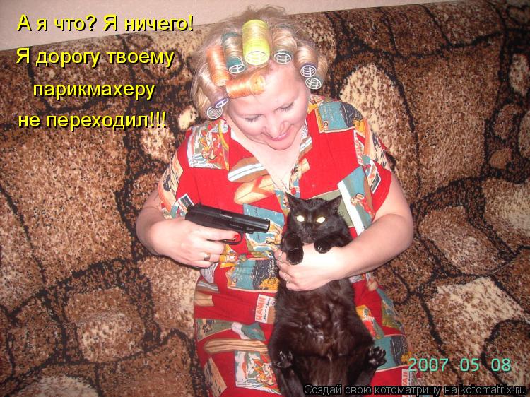 Котоматрица: А я что? Я ничего! Я дорогу твоему парикмахеру  не переходил!!!