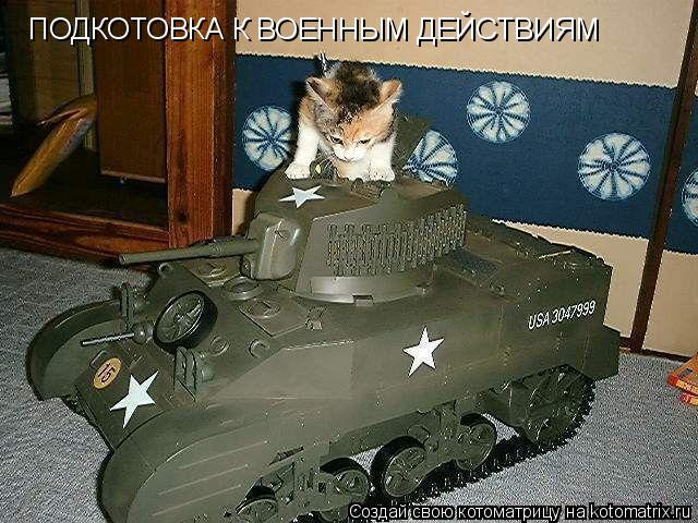 Котоматрица: ПОДКОТОВКА К ВОЕННЫМ ДЕЙСТВИЯМ
